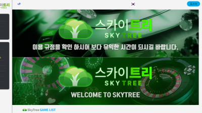 스카이트리(Skytree) 먹튀 검증 결과 안내