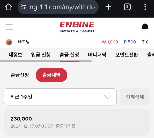 엔진 먹튀확정